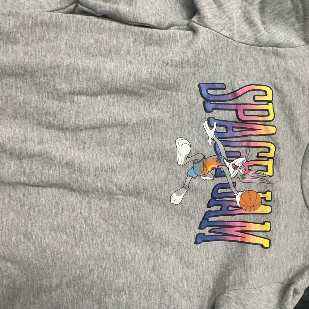 2 piece (Girls) Graphic Sweatpants & Sweatshirt